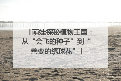 萌娃探秘植物王国：从“会飞的种子”到“善变的绣球花”